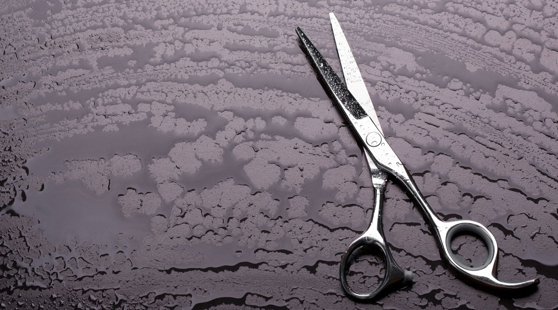 7 Things You Need To Know When Buying Hair Cutting Scissors - Japan Scissors USA