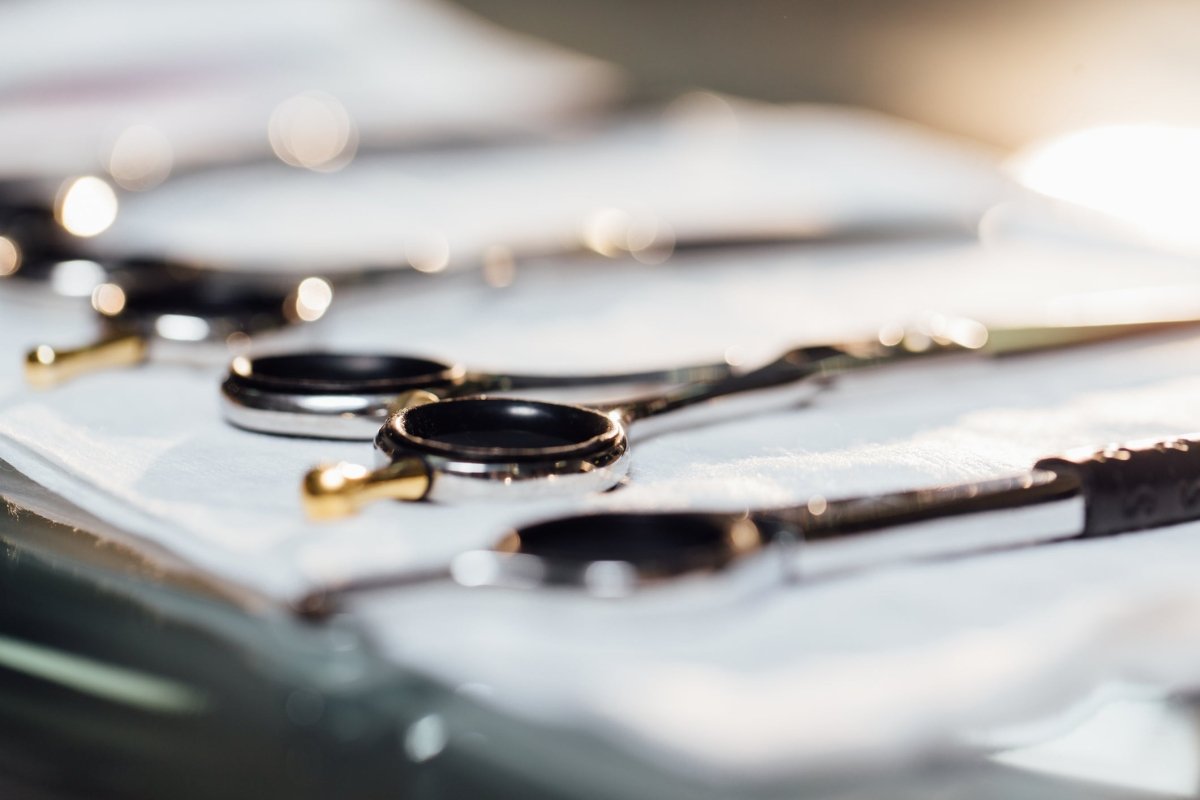 Different Types Of Hairdressing Scissors You Need | Hair Scissor Types ...