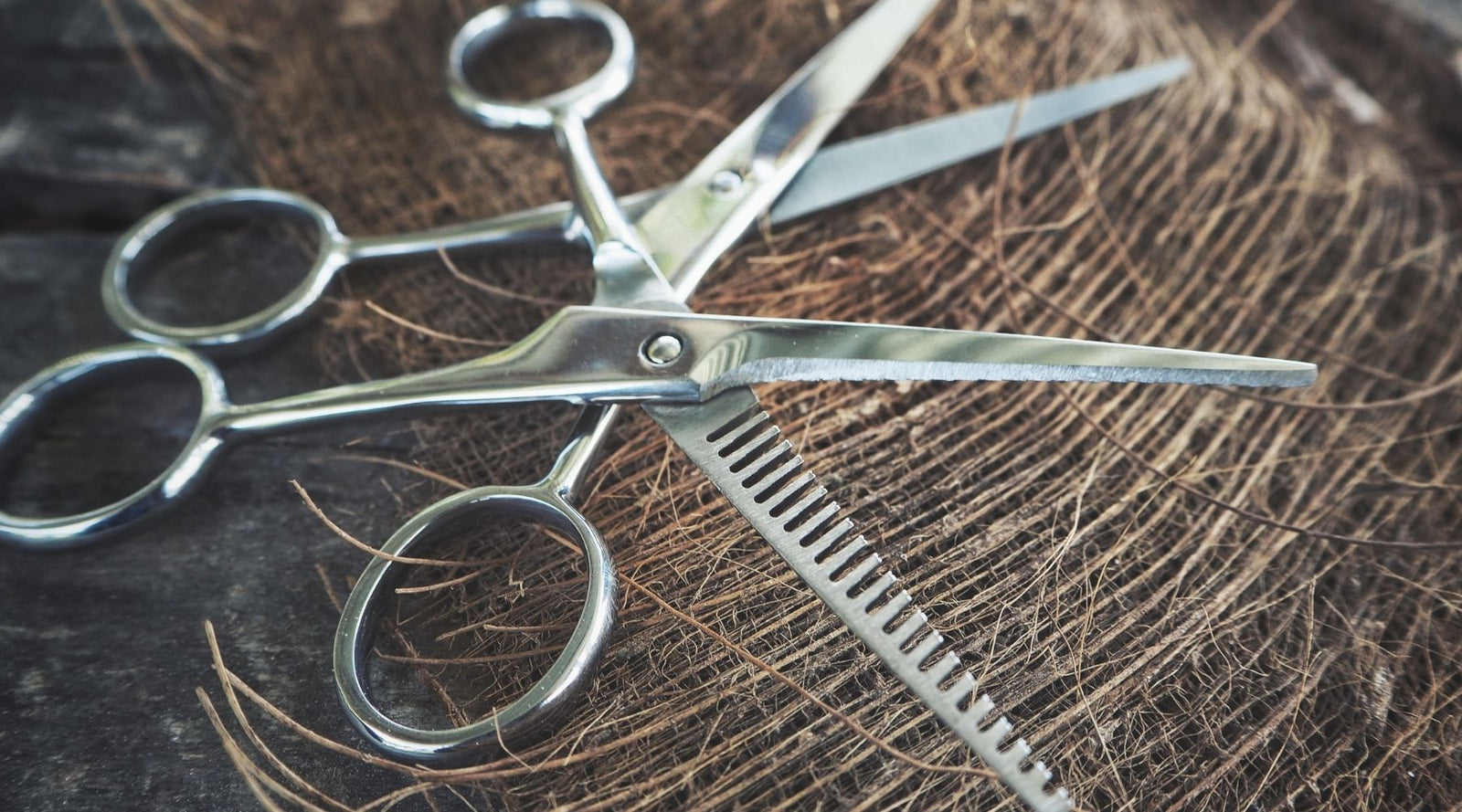 Hair Cutting Scissor Types | Cutting Shears: Convex, Beveled, Serrated -  Japan Scissors USA