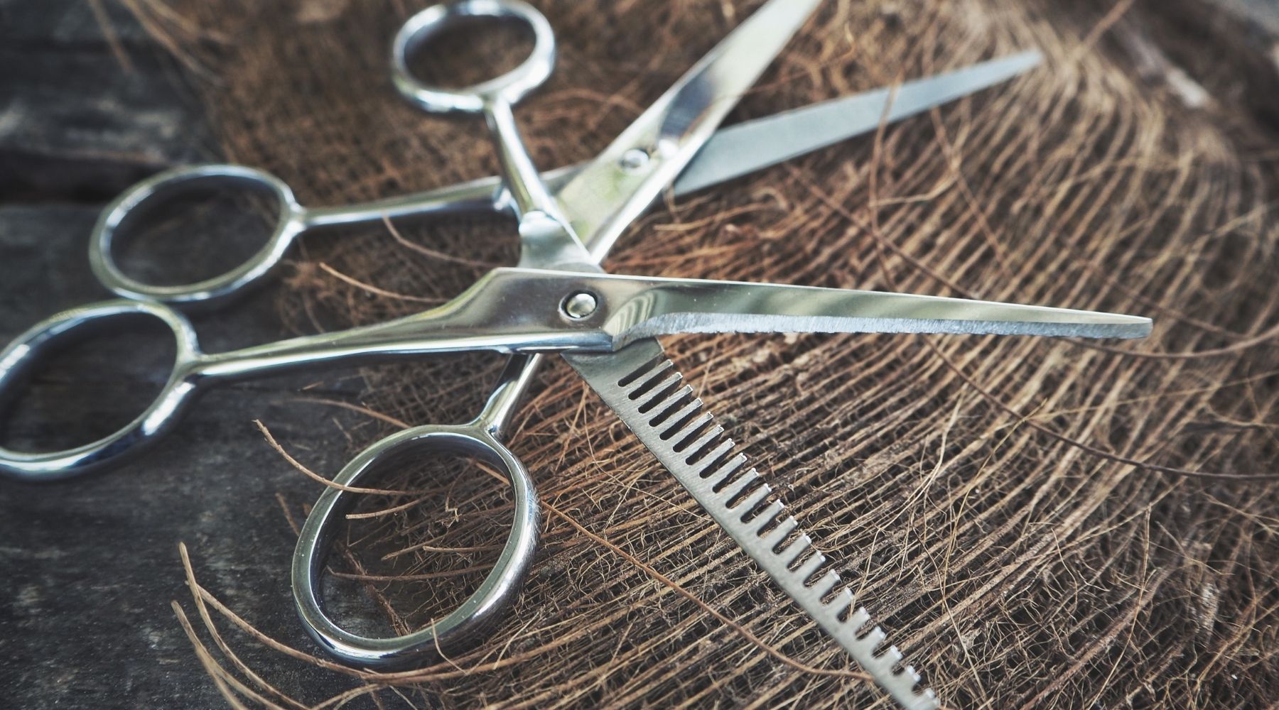 Hair Cutting Scissor Types - Japan Scissors USA