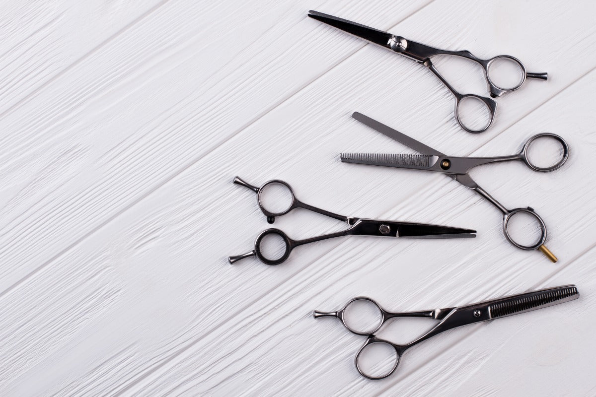 Shears Guide