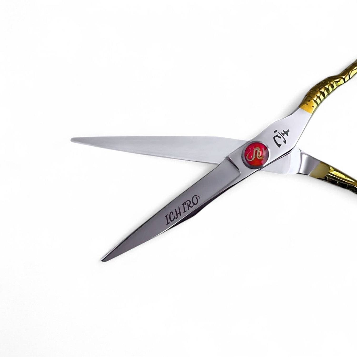 Itami ドラゴンクロー　シザー　アールシザー Ichiro Dragon Professional Shear Set | Complete Collection - Japan