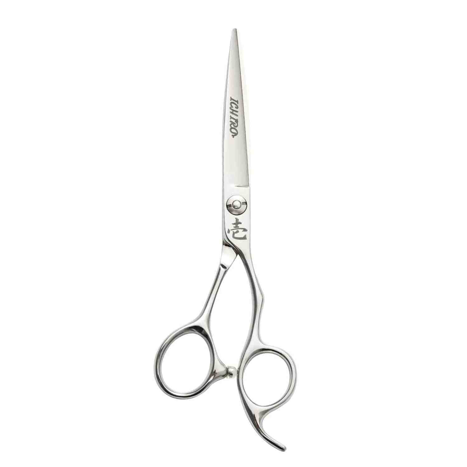 Ichiro Ergo Apprentice Hair Cutting Shears: Stainless Alloy Steel