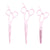 Set di forbici di precisione rosa pastello Ichiro